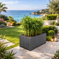Grande jardinière pour bambou