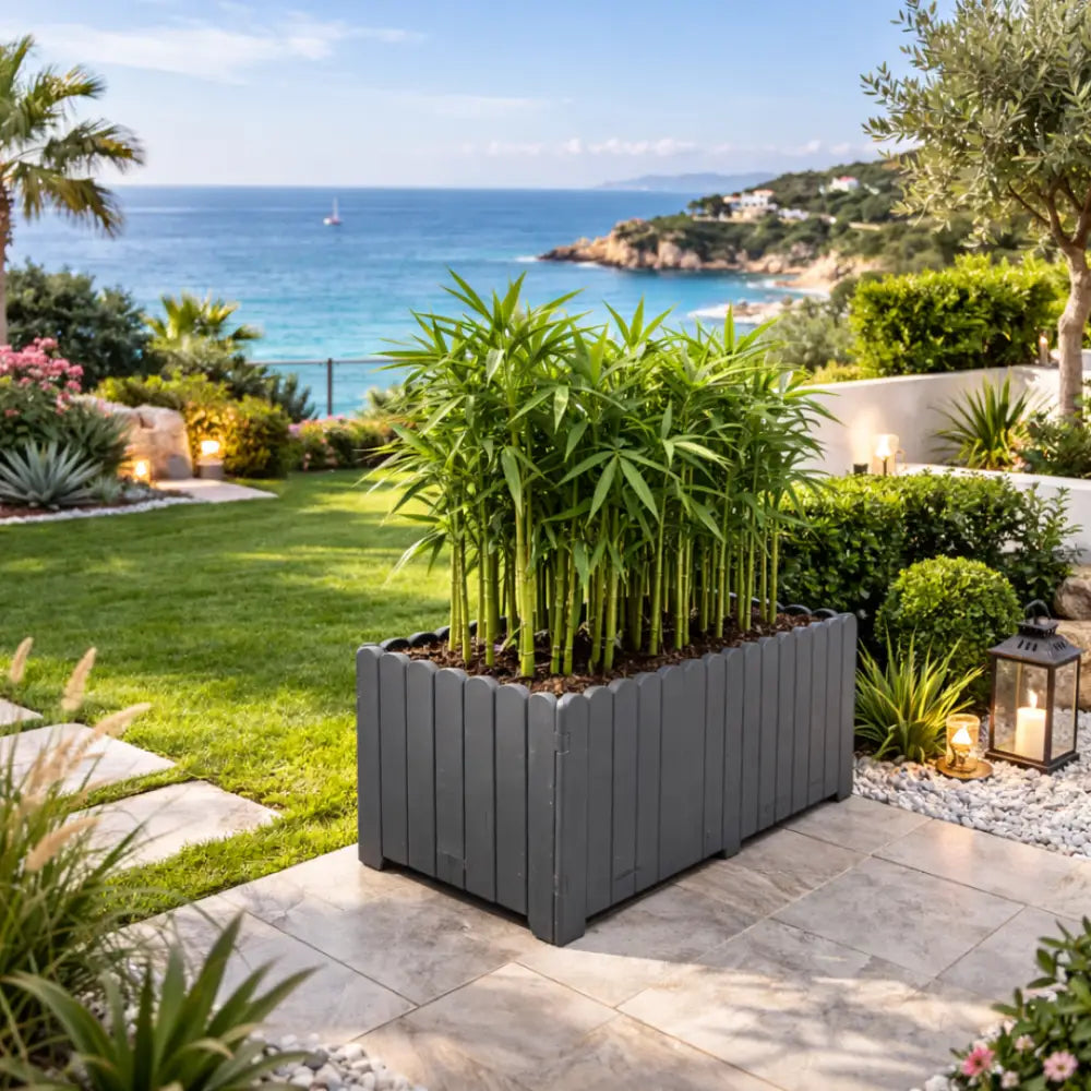 Grande jardinière pour bambou