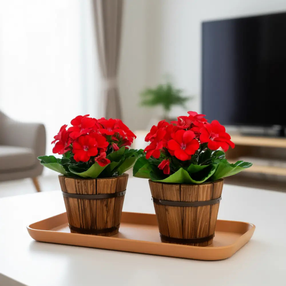 Coupelle rectangulaire pot de fleur