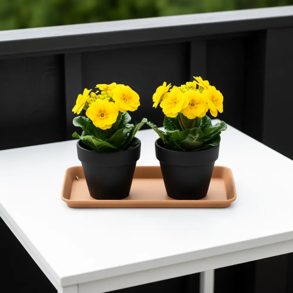 Coupelle rectangulaire pot de fleur