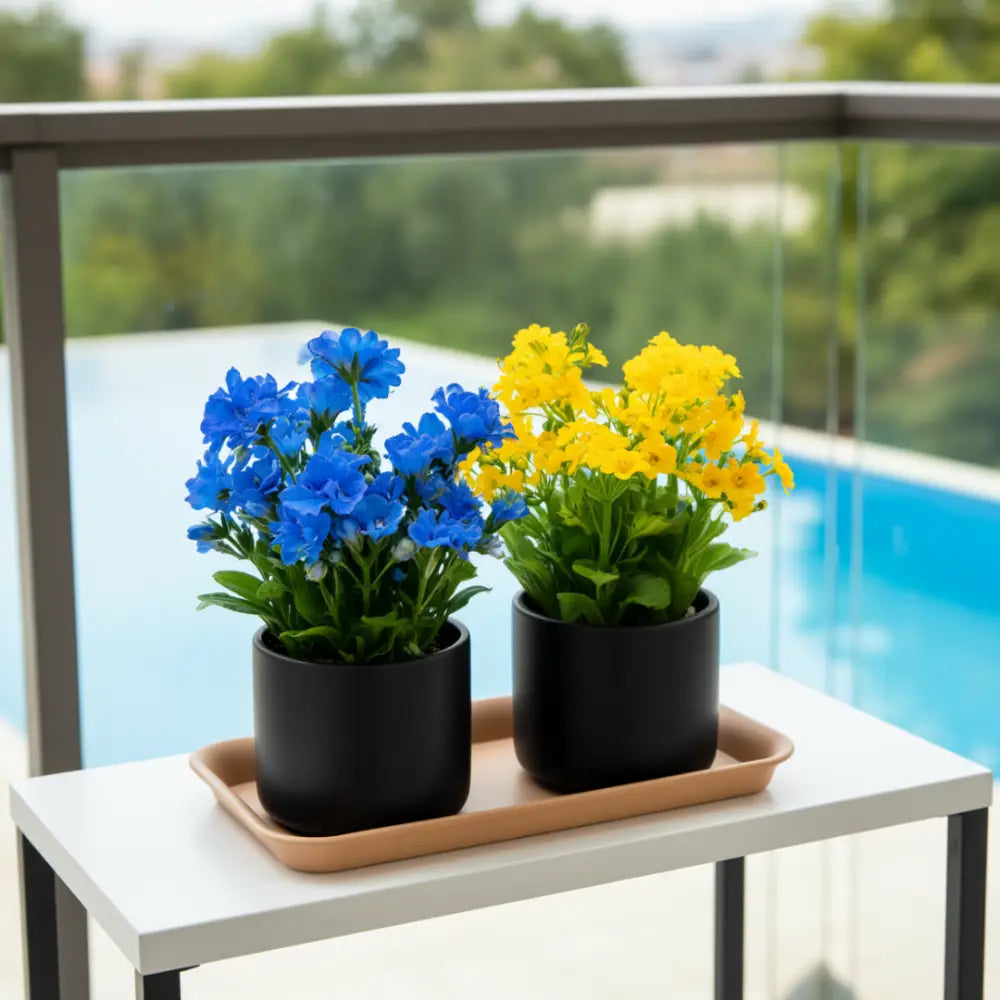 Coupelle rectangulaire pot de fleur