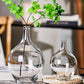 Dame Jeanne vase - Décoration intérieure