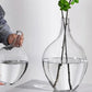 Dame Jeanne vase - Décoration intérieure