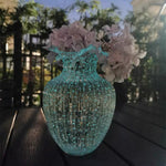 Vase en verre transparent lumineux