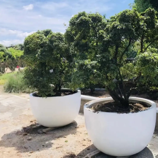 Grand pot de fleur 80 cm