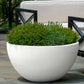 Grand pot de fleur 80 cm