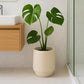 Grand pot de fleur beige