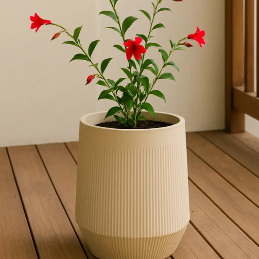 Grand pot de fleur beige