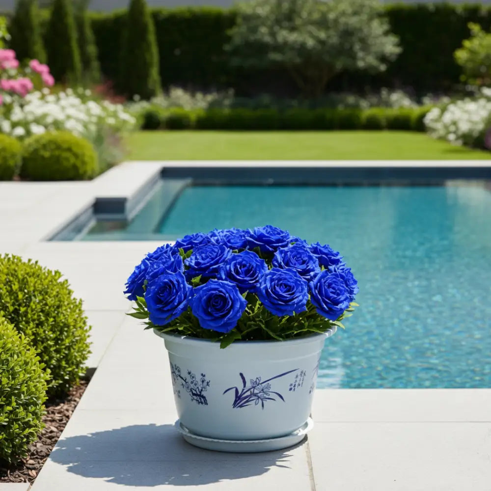 Grand pot de fleur blanc