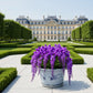 Grand pot de fleur blanc