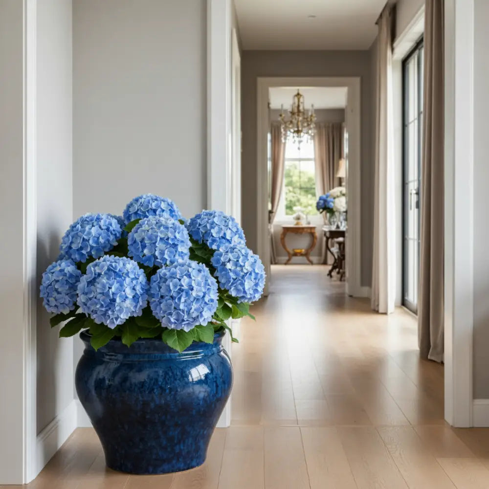 Grand pot de fleur bleu