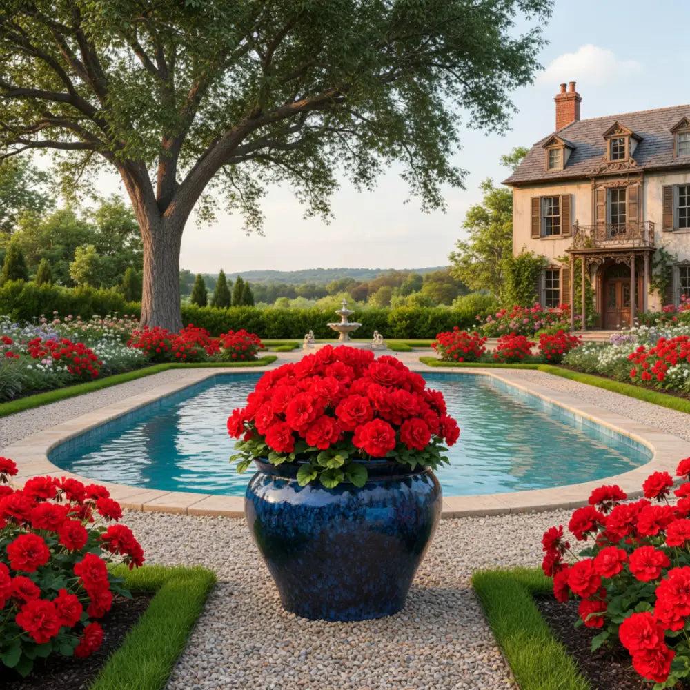 Grand pot de fleur bleu