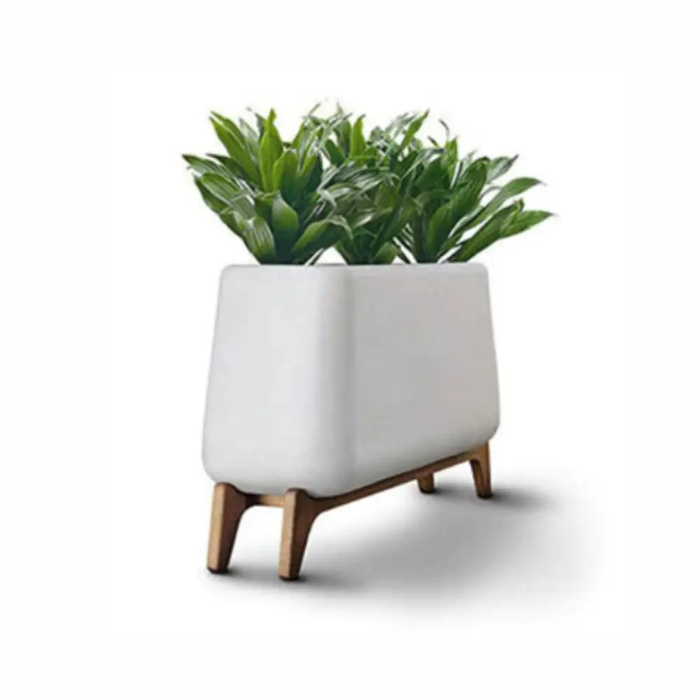 Grand pot de fleur design