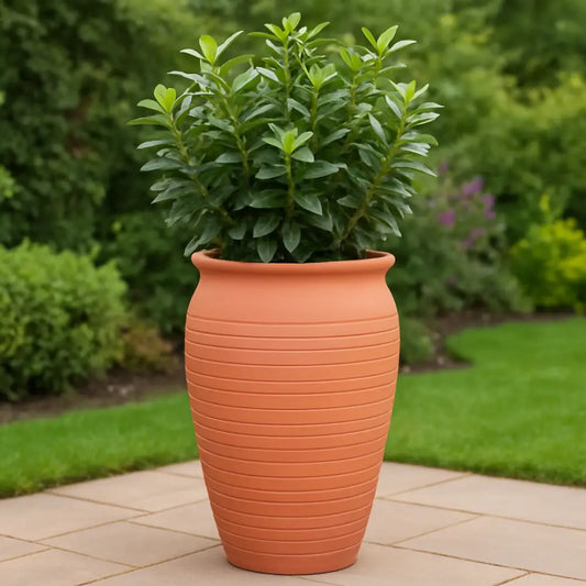 Grand pot de fleur en terre cuite