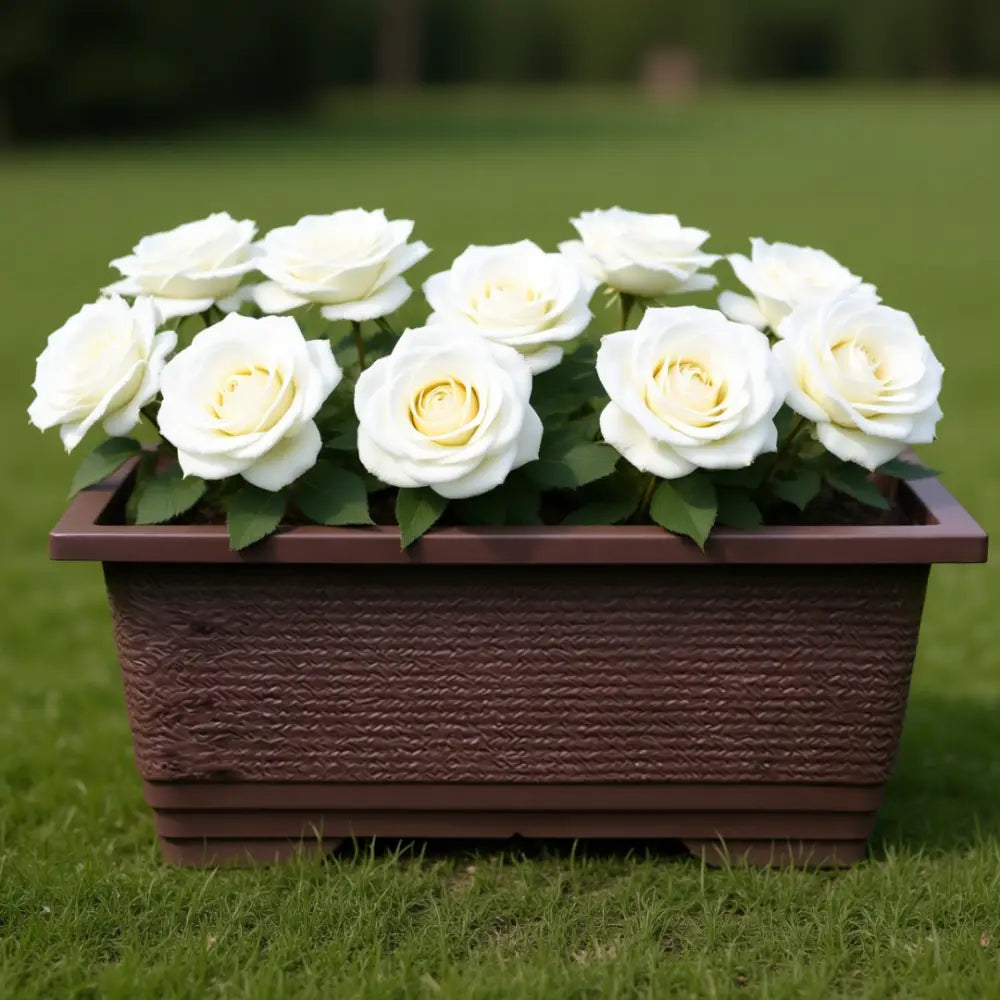 Grand pot de fleur extérieur 100 cm rectangulaire