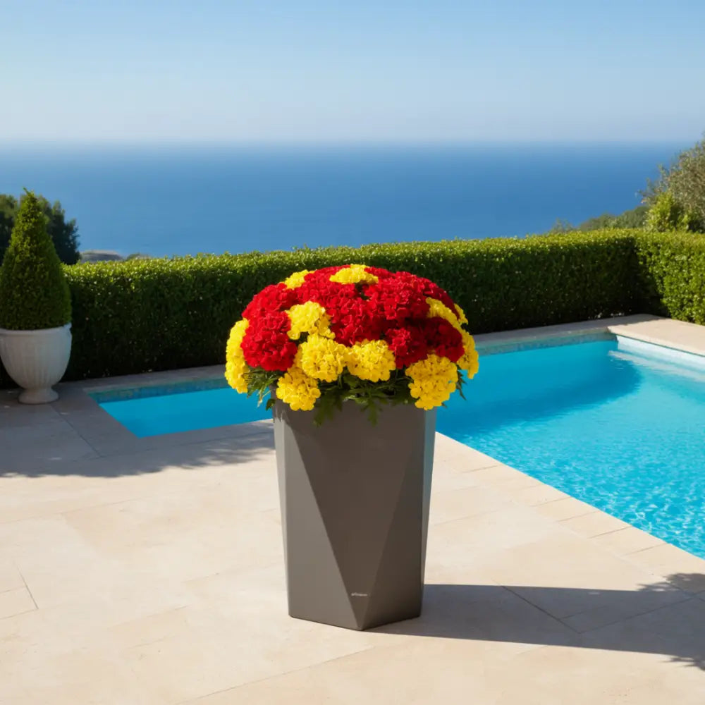 Grand pot de fleur exterieur 80 cm