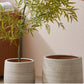 Grand pot de fleur exterieur ceramique