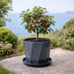 Grand pot de fleur exterieur pas cher