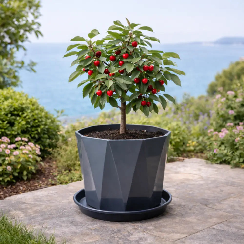 Grand pot de fleur exterieur pas cher