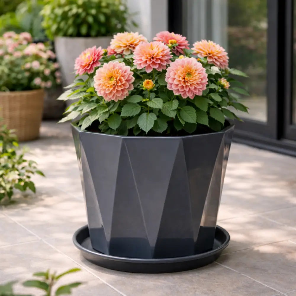 Grand pot de fleur exterieur pas cher