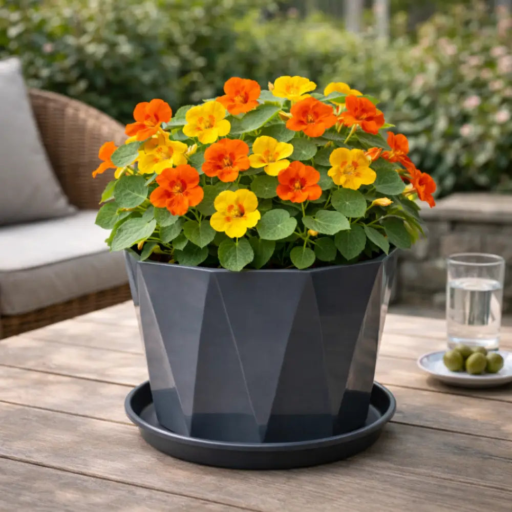 Grand pot de fleur exterieur pas cher