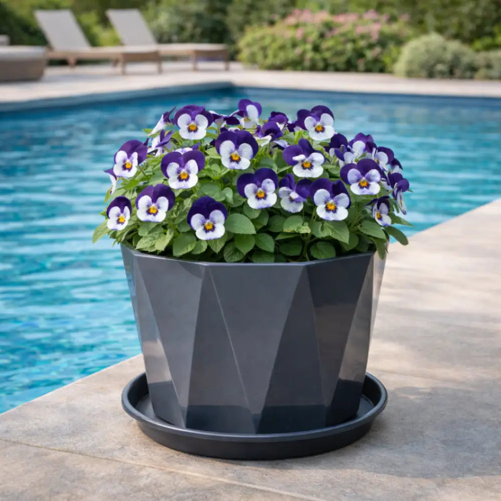Grand pot de fleur exterieur pas cher