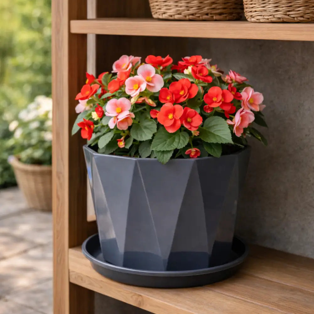 Grand pot de fleur exterieur pas cher