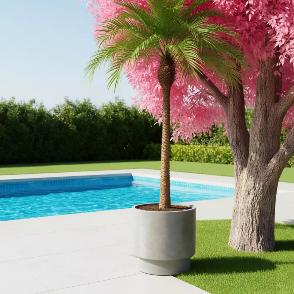 Grand pot de fleur exterieur pour palmier