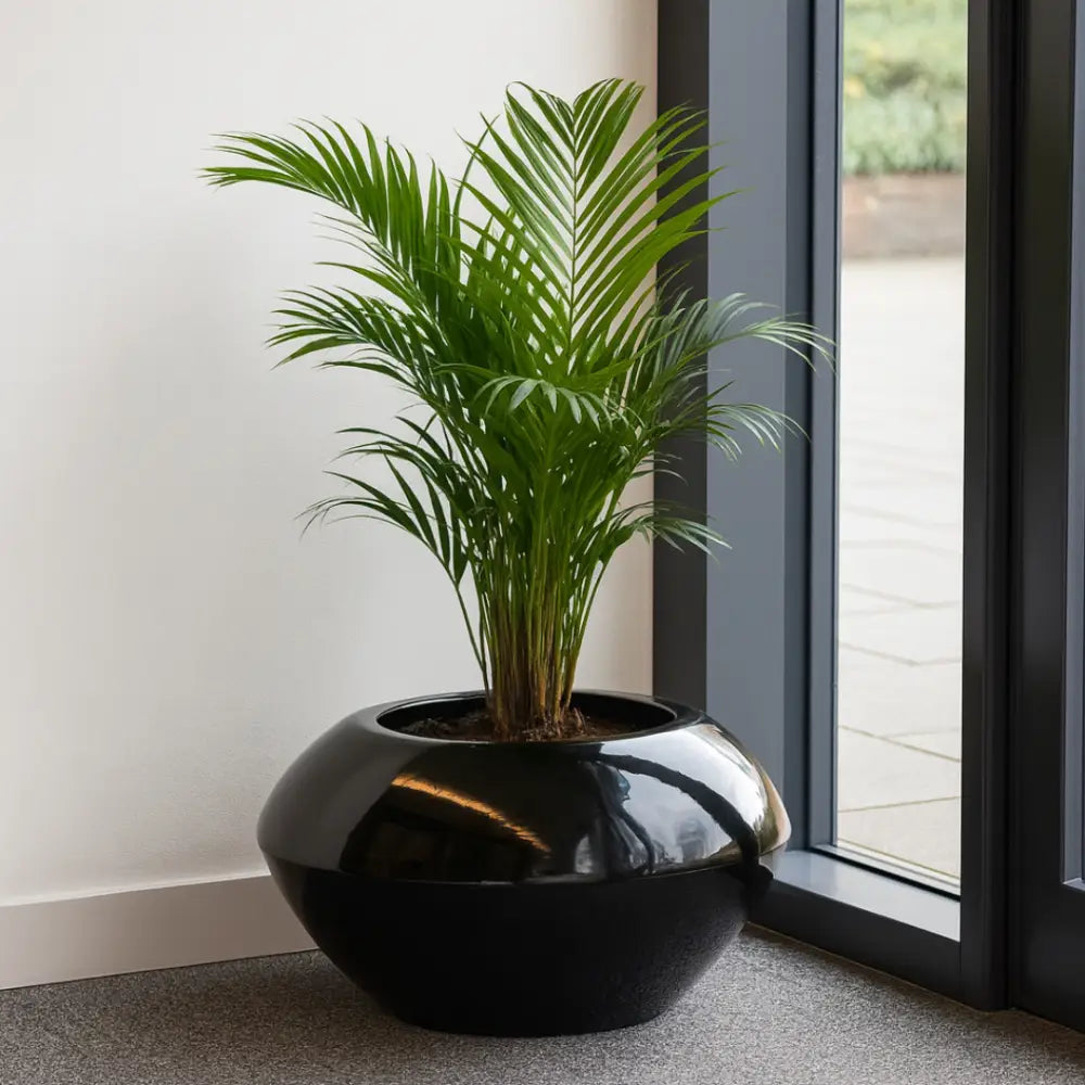 Grand pot de fleur noir