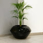 Grand pot de fleur noir