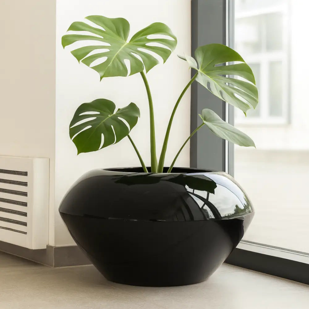 Grand pot de fleur noir