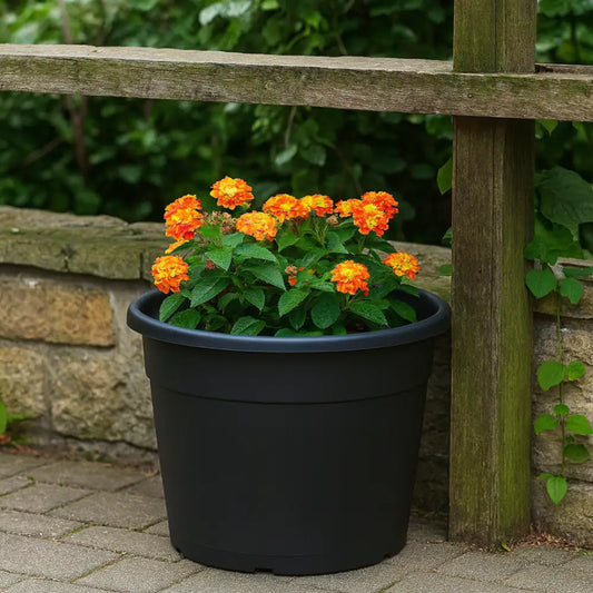 Grand pot de fleur plastique