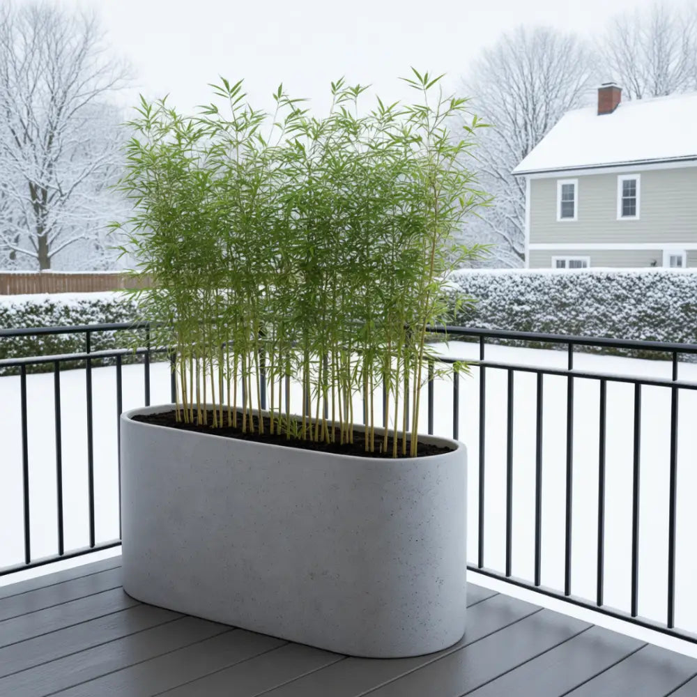 grand pot de fleur pour bambou