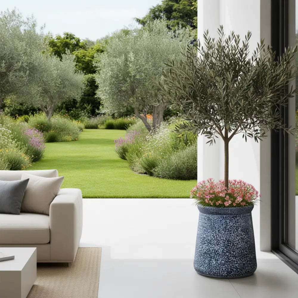 Grand pot de fleur pour olivier