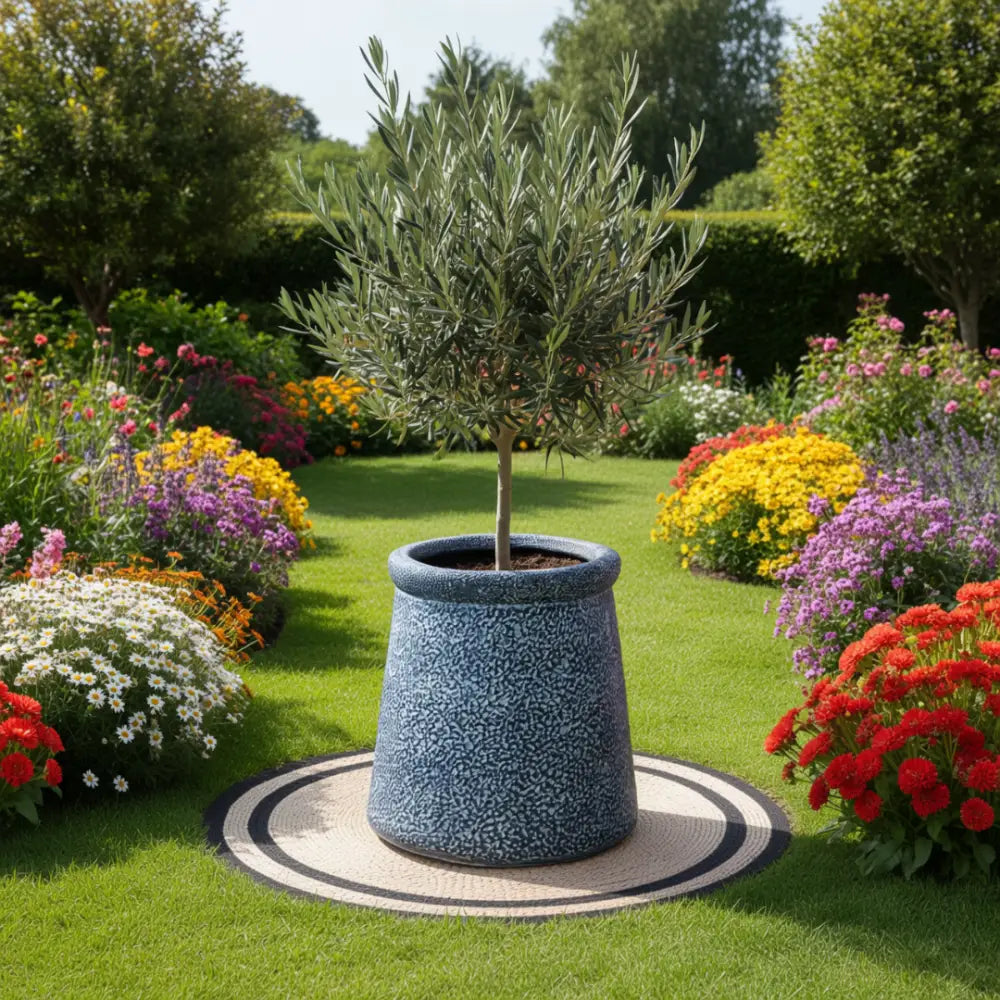 Grand pot de fleur pour olivier