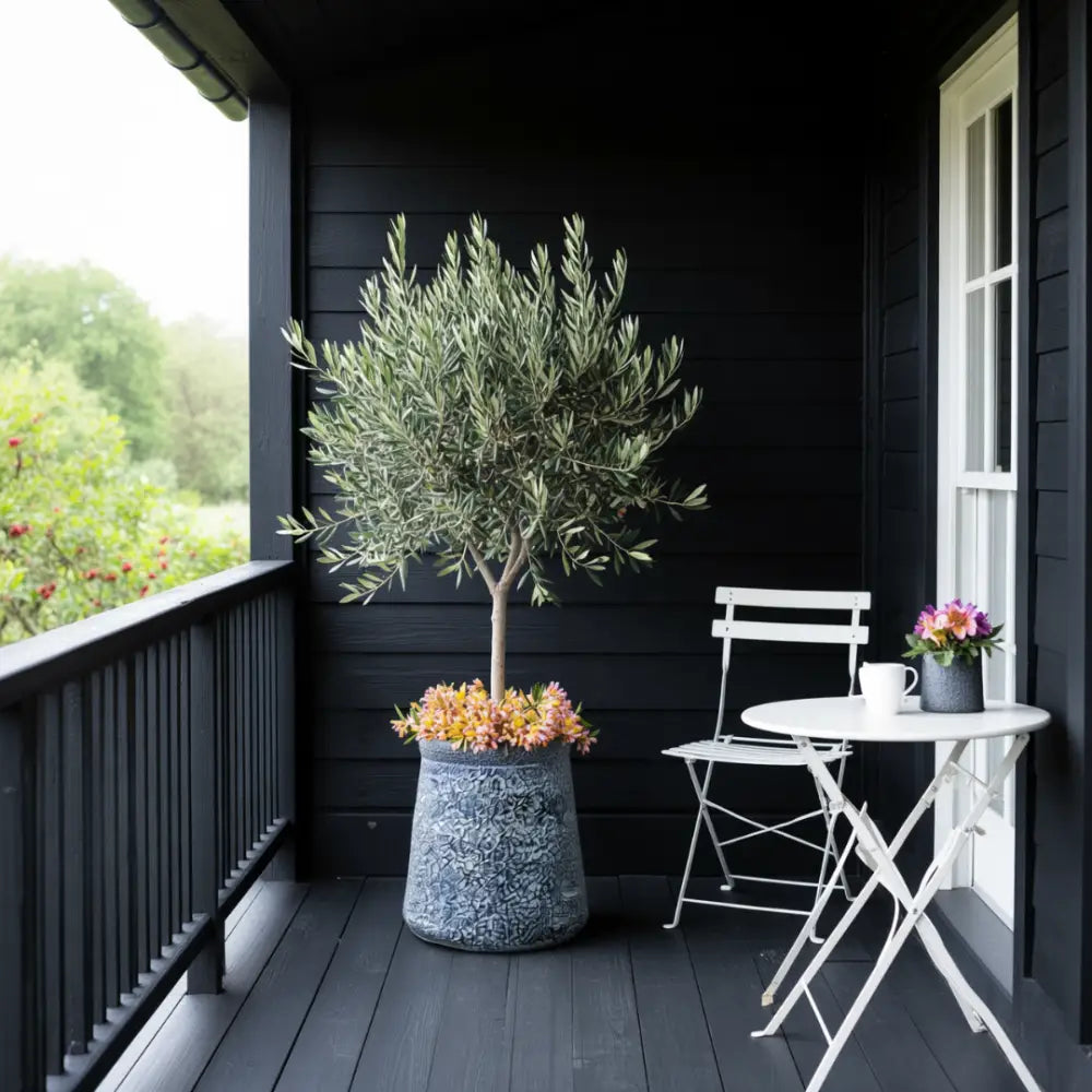 Grand pot de fleur pour olivier