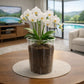 Grand pot de fleur transparent