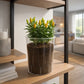 Grand pot de fleur transparent