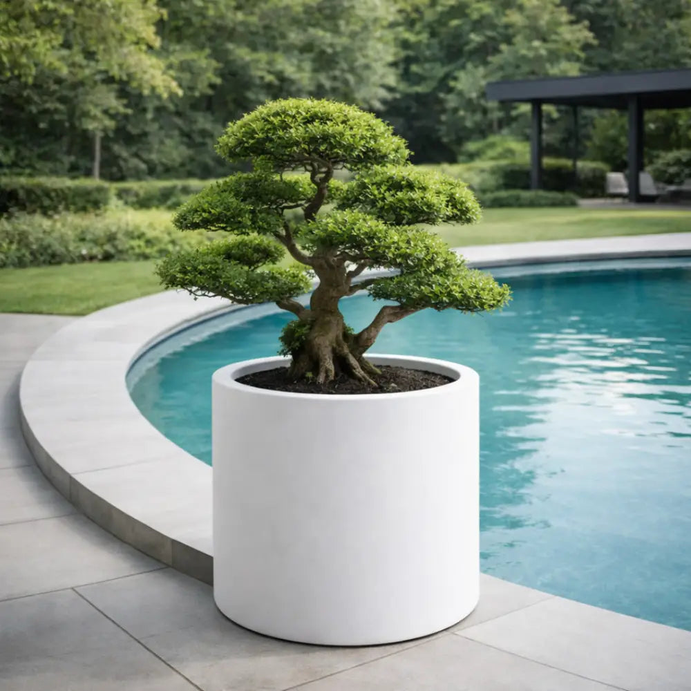 Grande jardinière béton ronde