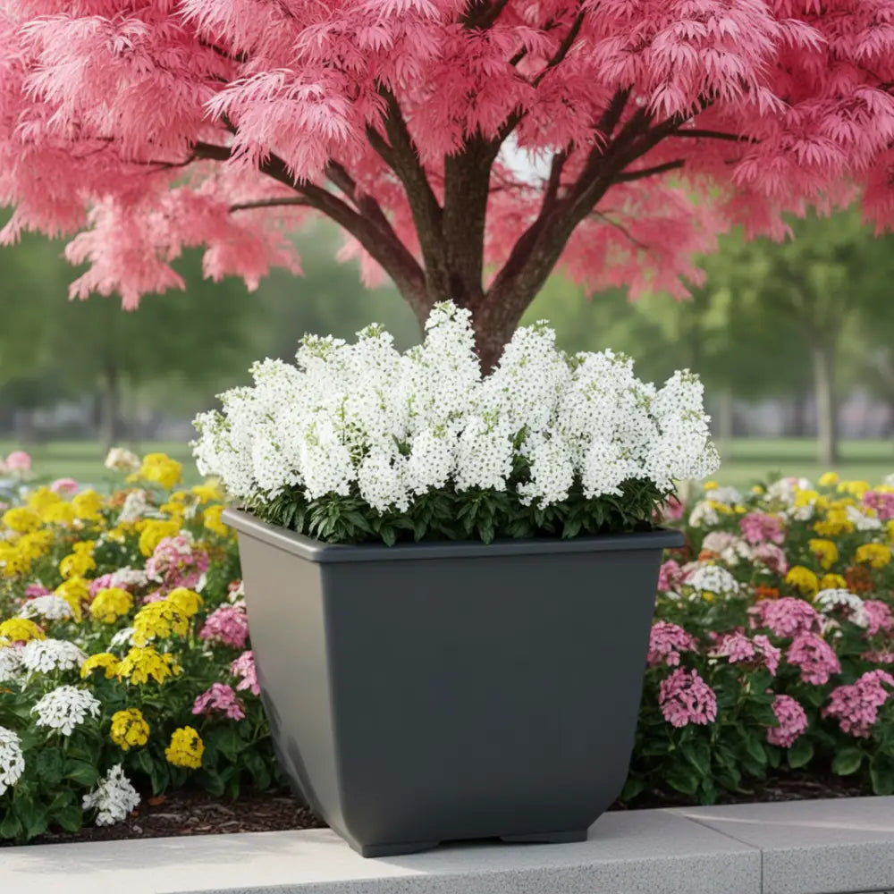 Gros pot de fleur carré