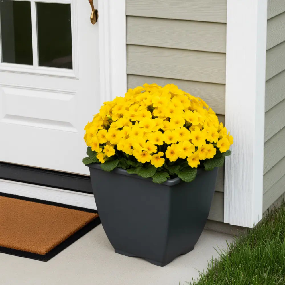 Gros pot de fleur carré - Noir