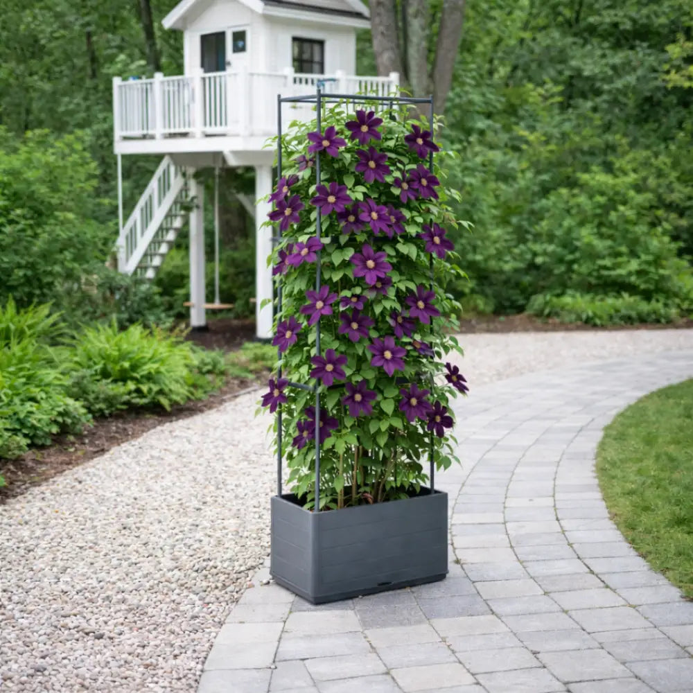 Jardinière avec treillis anthracite