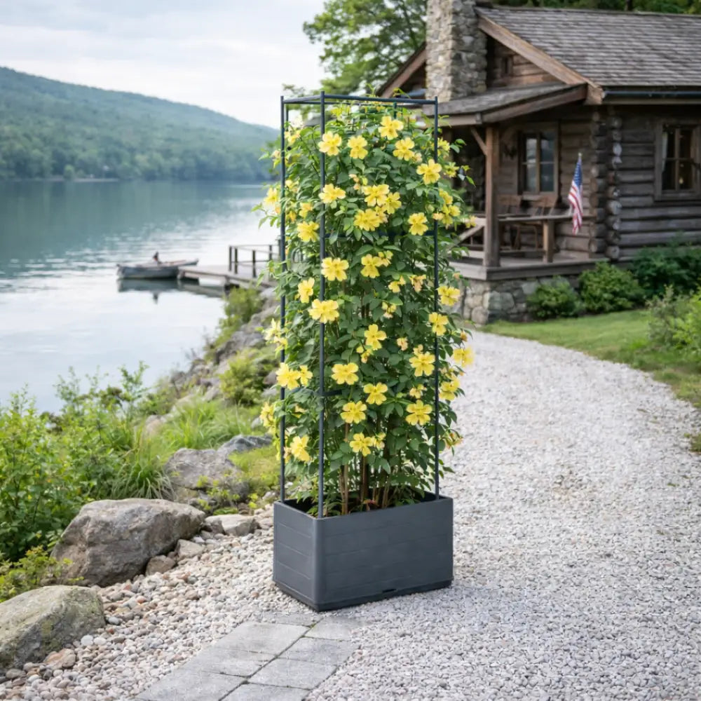 Jardinière avec treillis anthracite