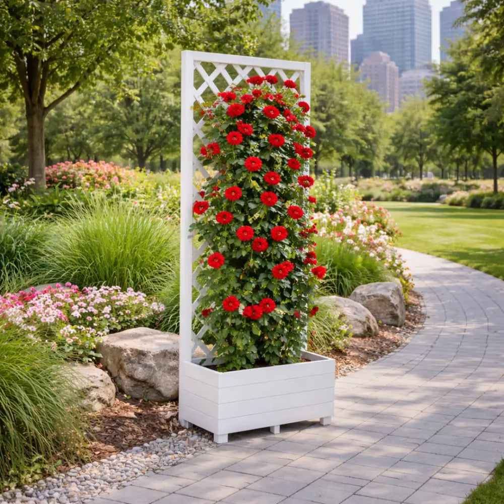 Jardinière avec treillis blanc