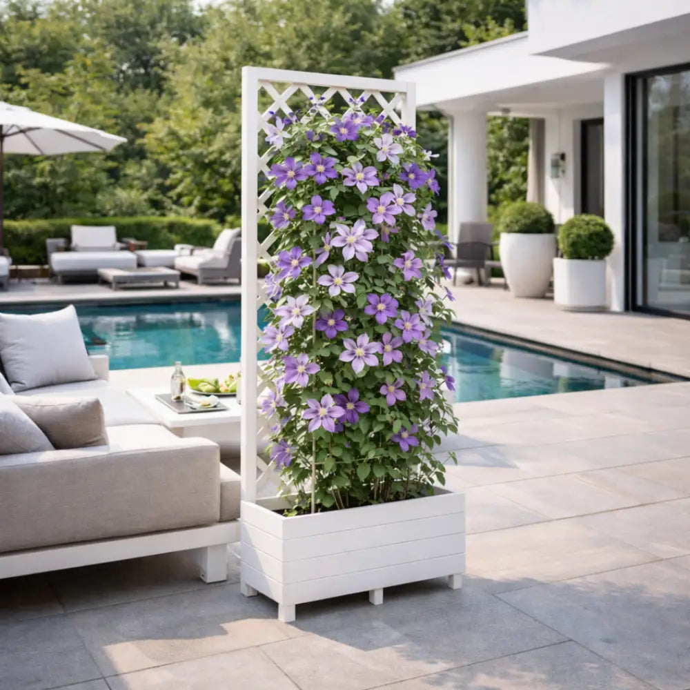 Jardinière avec treillis blanc