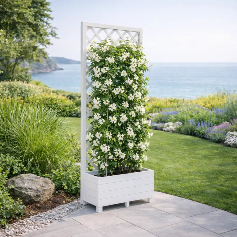 Jardinière avec treillis blanc