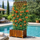 Jardinière avec treillis design