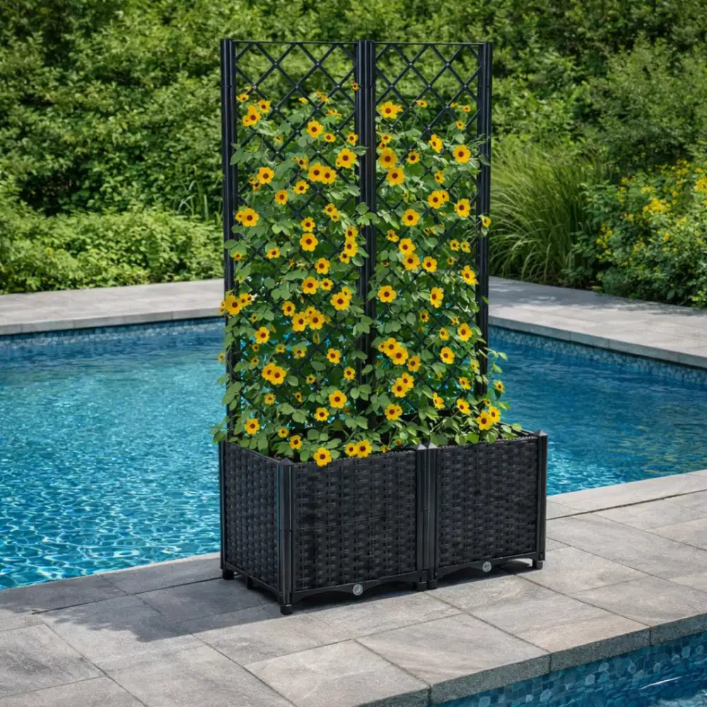 Jardinière avec treillis noir