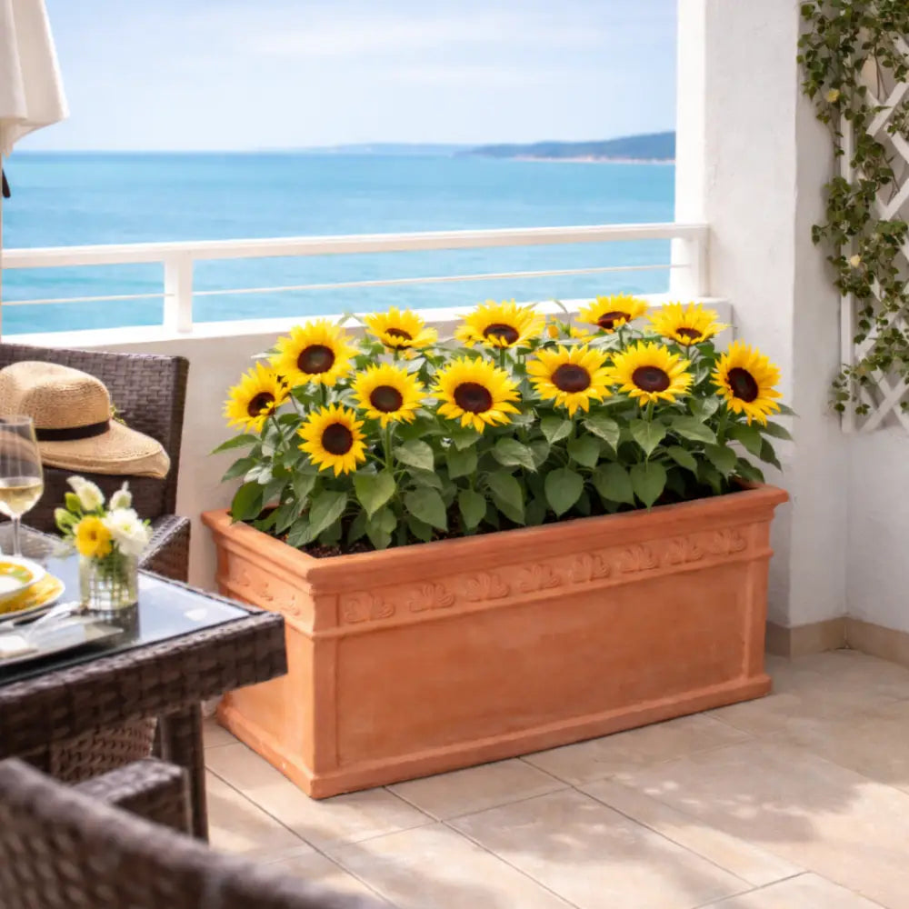 Jardinière balcon terre cuite