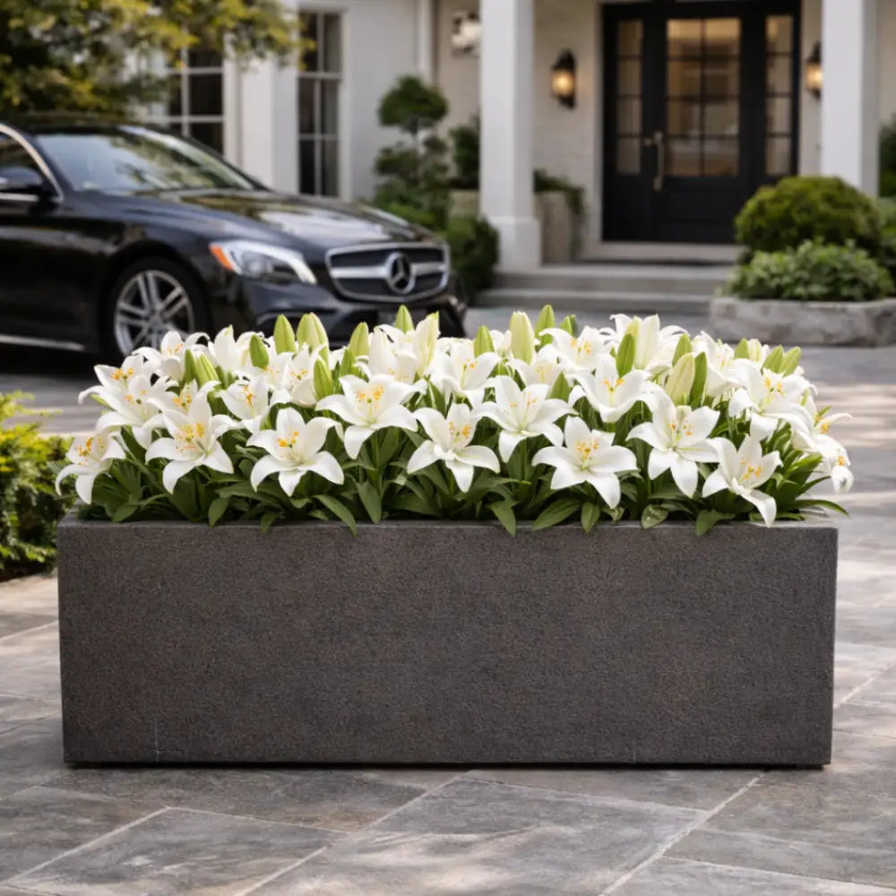 Jardinière béton extérieur